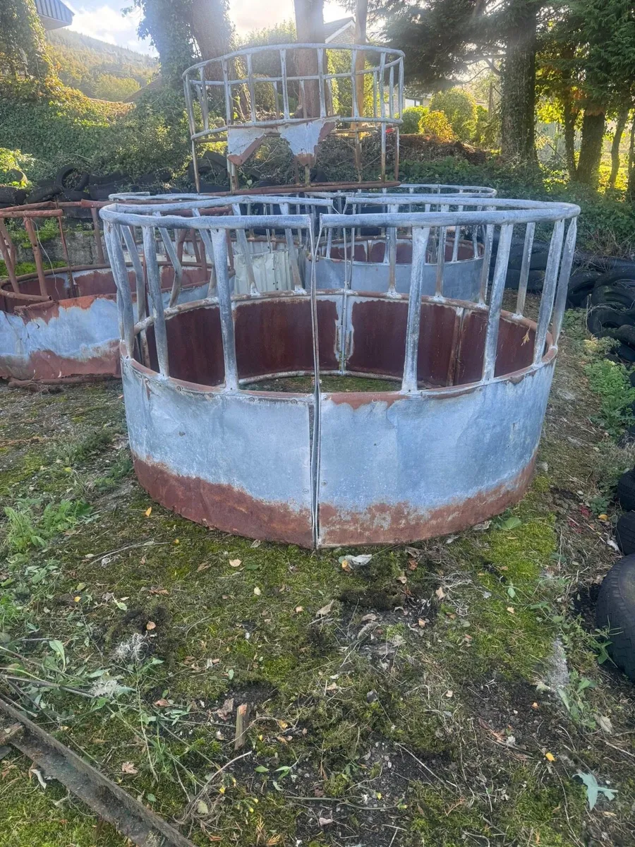 Cattle Equipment - Image 2