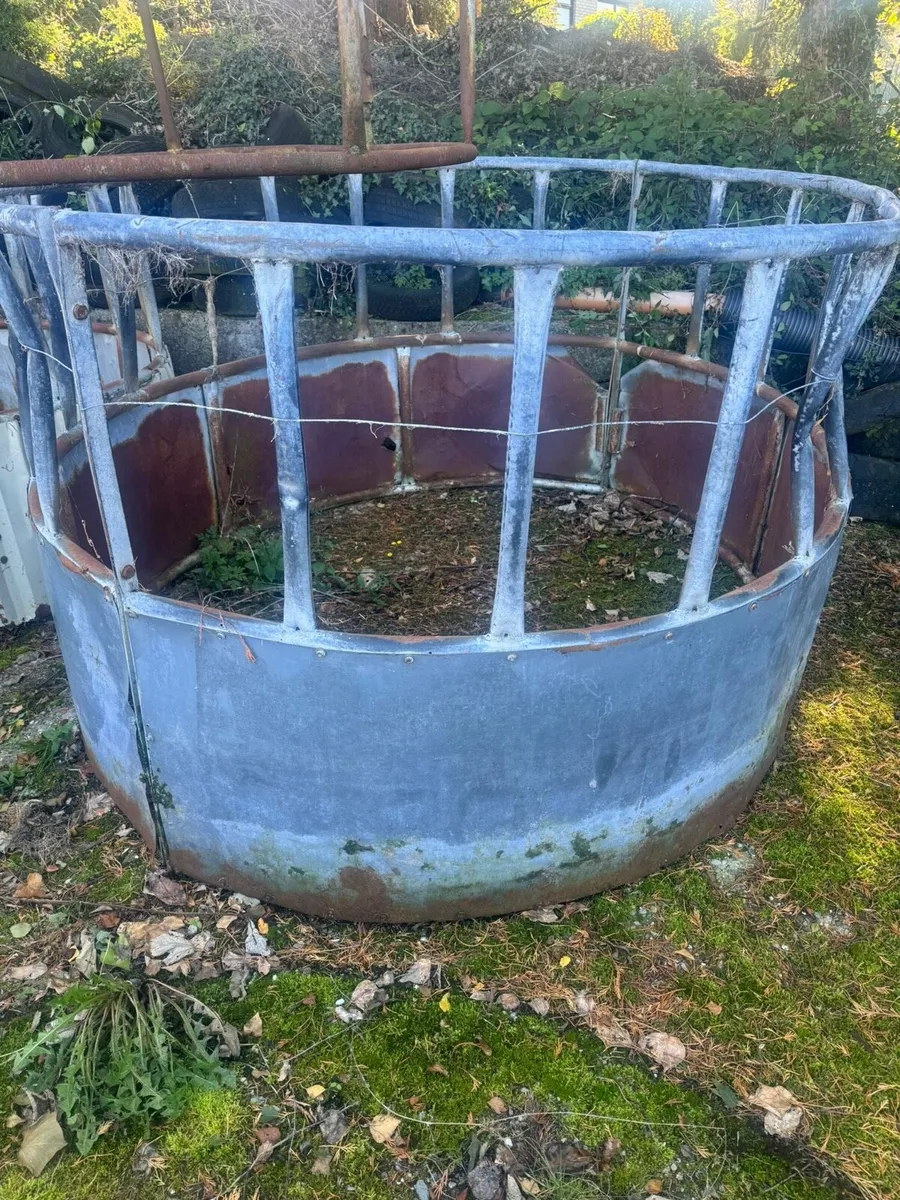 Cattle Equipment - Image 4