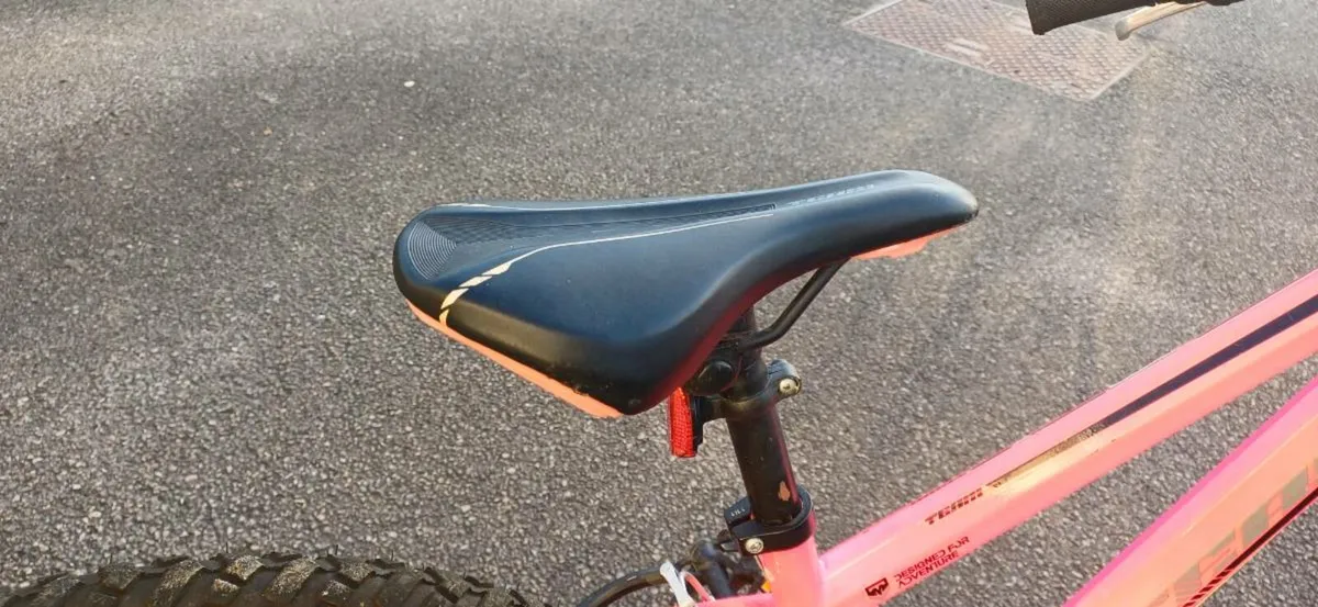 Bike - Image 4