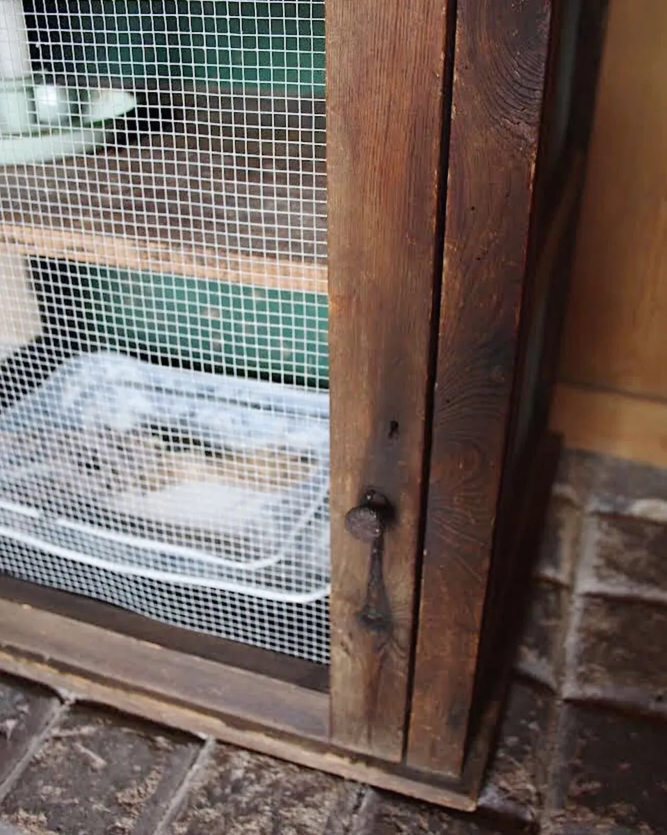 Antique Meat Safe - Image 3