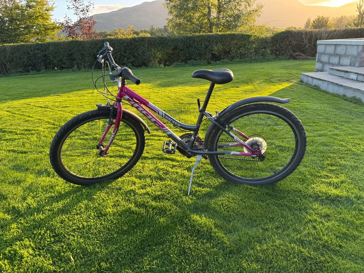 Bike - Image 1