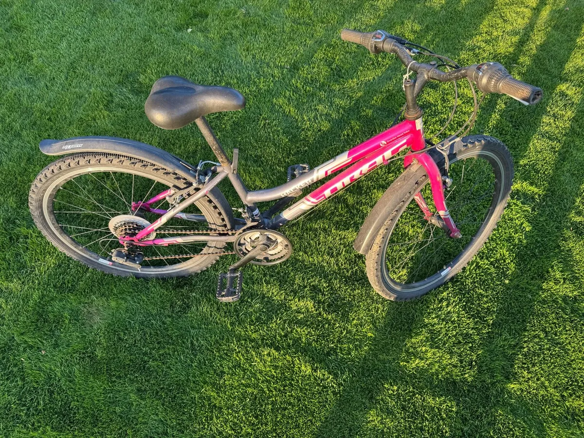 Bike - Image 2