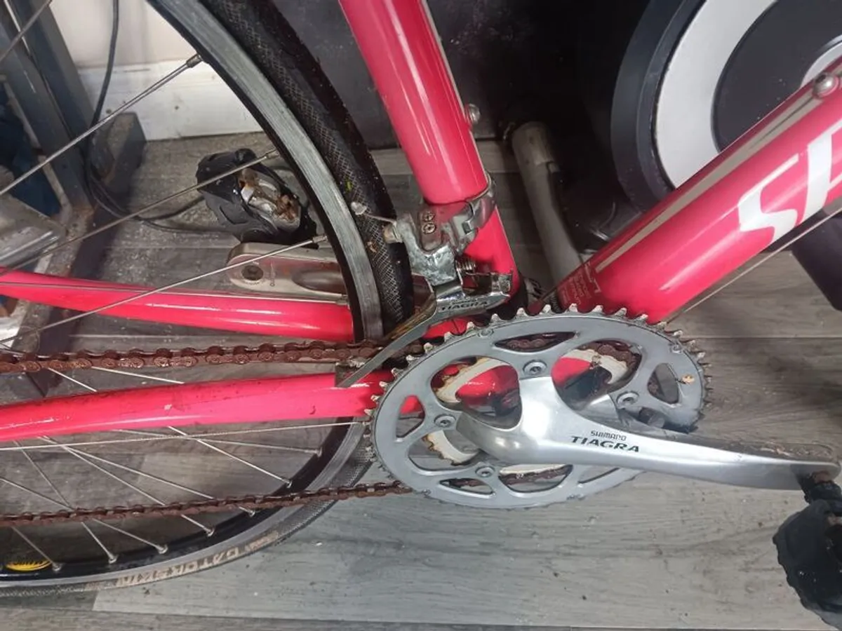 Specialised Allez - Image 3
