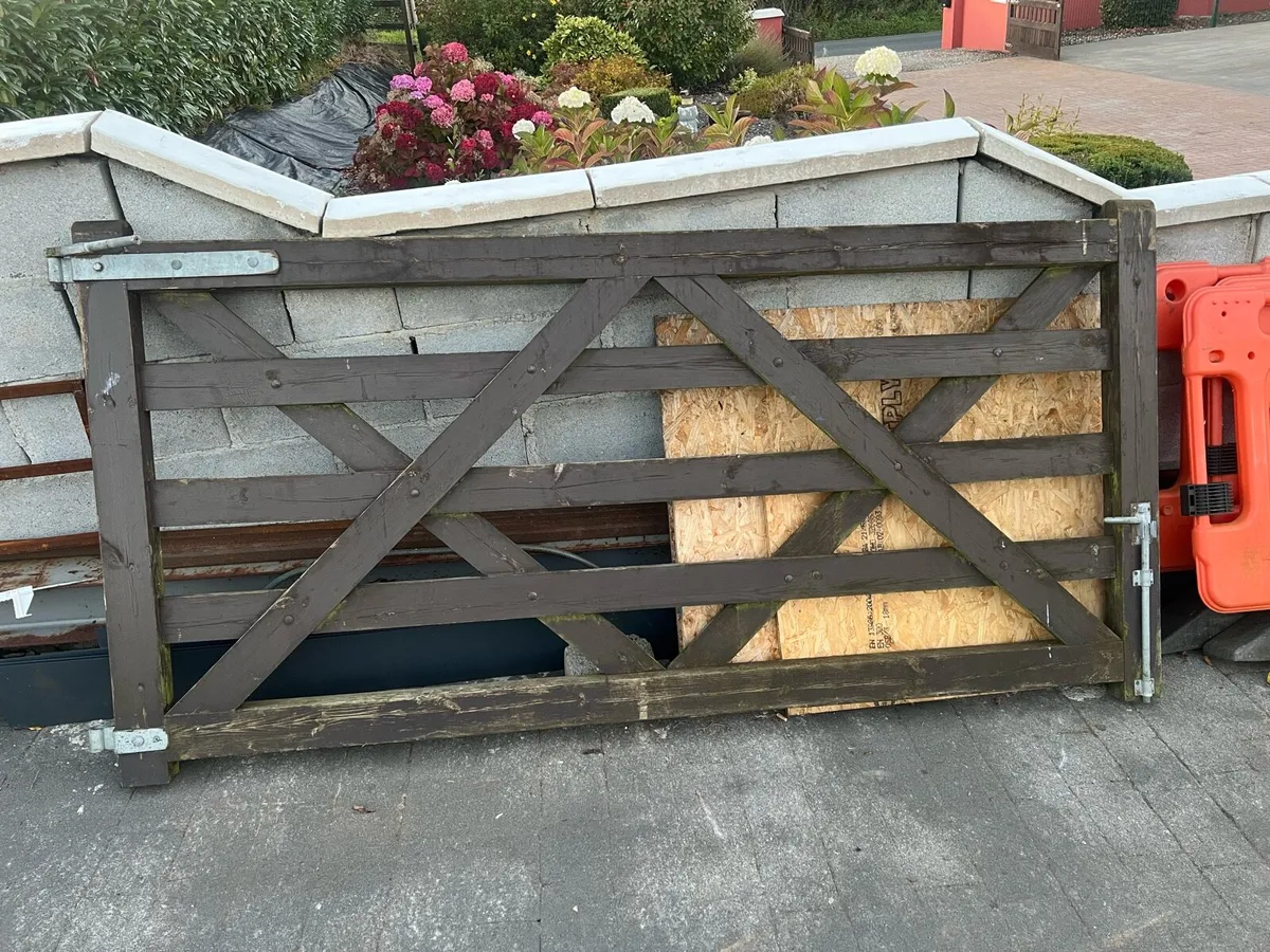 11ft gates - Image 1