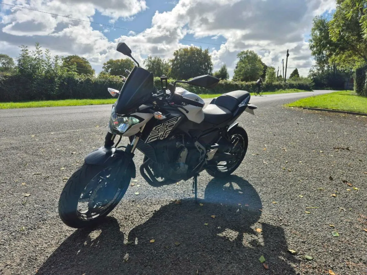 Kawasaki - Image 4