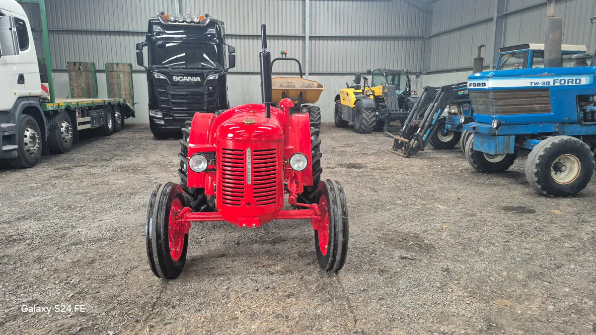David Brown cropmaster - Image 2