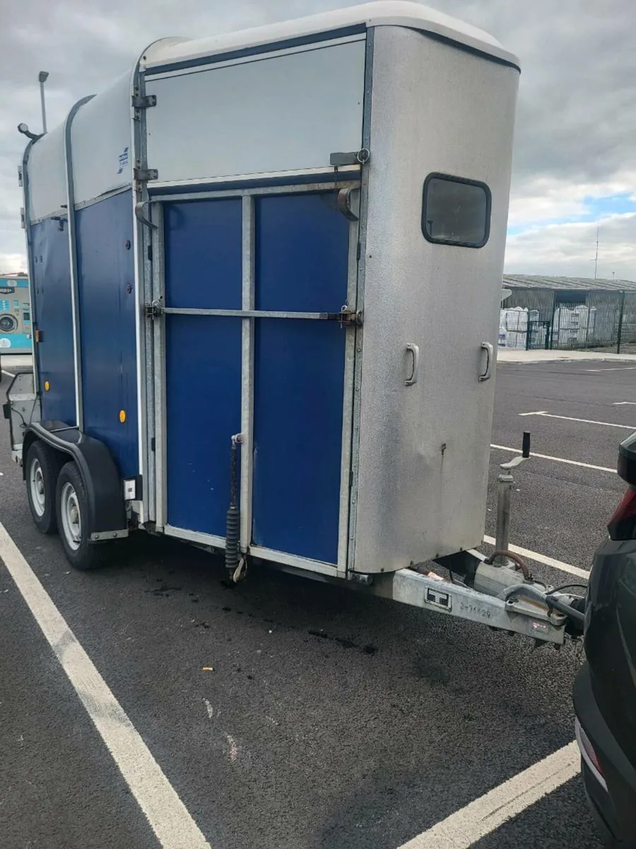 Ifor Williams 505 R - Double Horsebox - Image 3