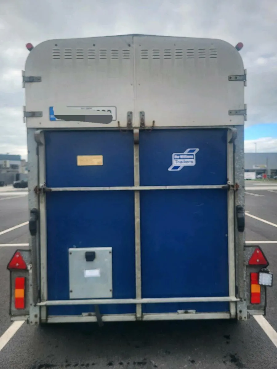 Ifor Williams 505 R - Double Horsebox - Image 4