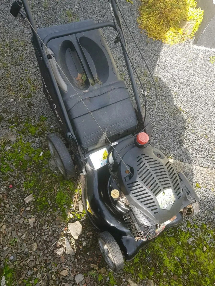 Garden items - Image 1