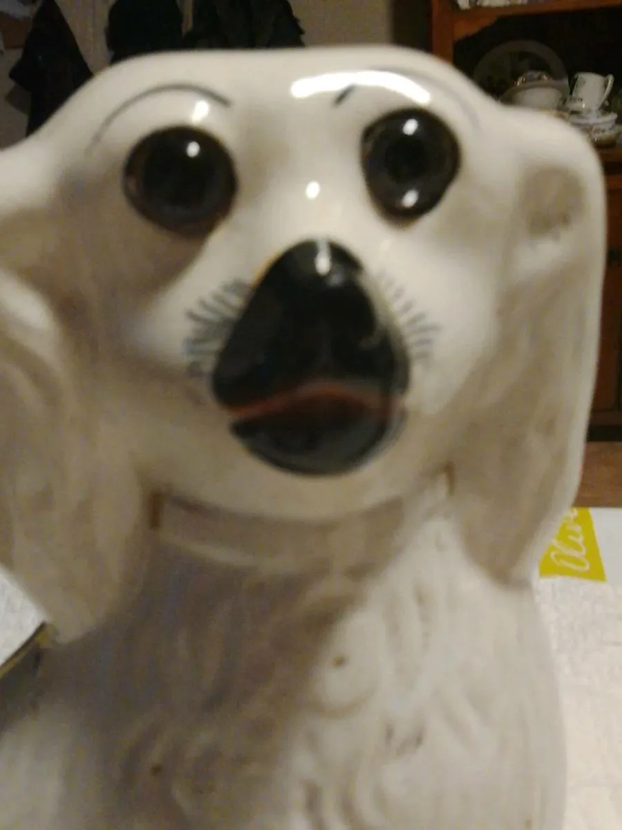 Two Victorian rare dogs - Image 2
