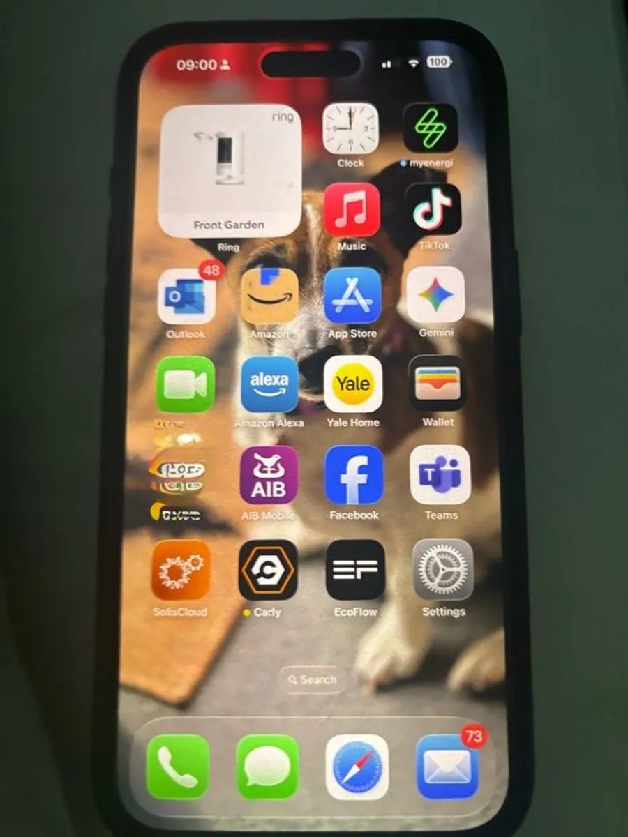 iPhone 15 Pro Max 256GB - Image 1