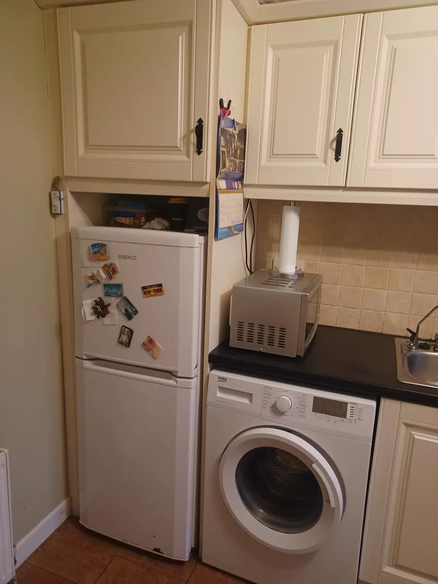 Kitchen Cabinets & Counter - Image 1