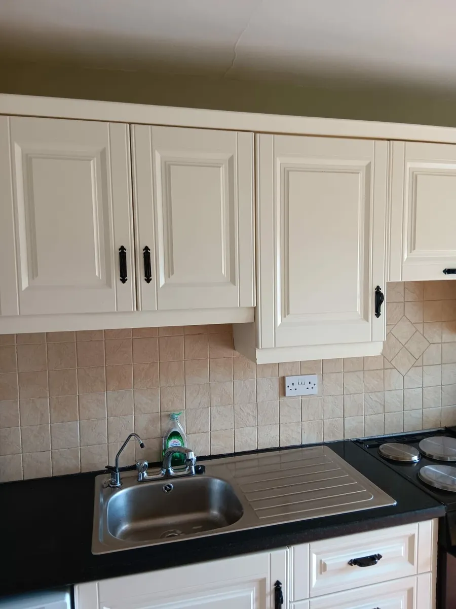 Kitchen Cabinets & Counter - Image 3