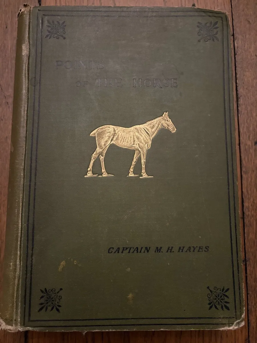 Points of the Horse (Captain Hayes)1904 - Image 1