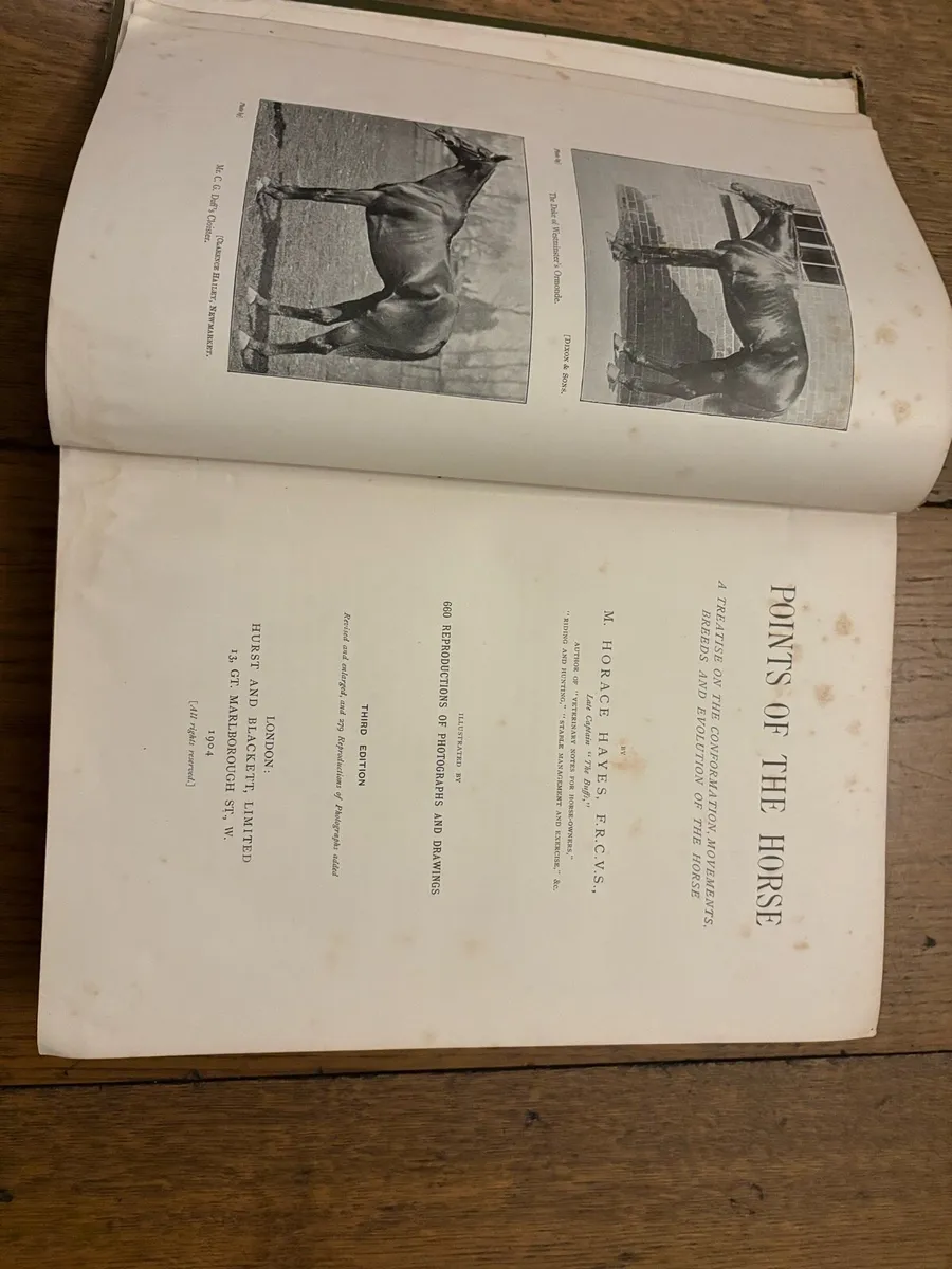 Points of the Horse (Captain Hayes)1904 - Image 2