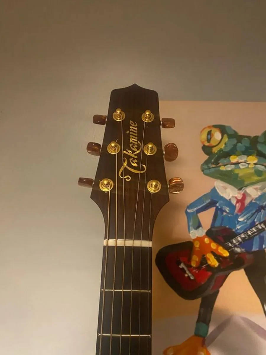 Takamine Santa Fe TSF40C - Image 2