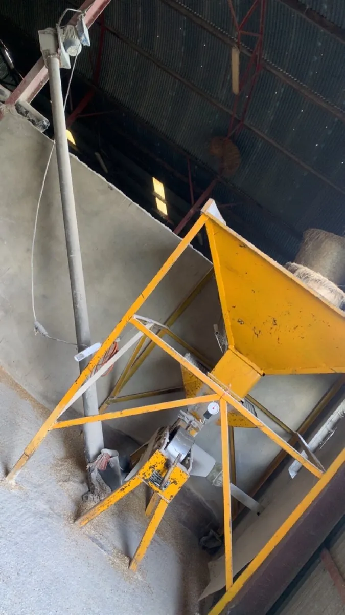 Grain roller,hopper,auger - Image 2