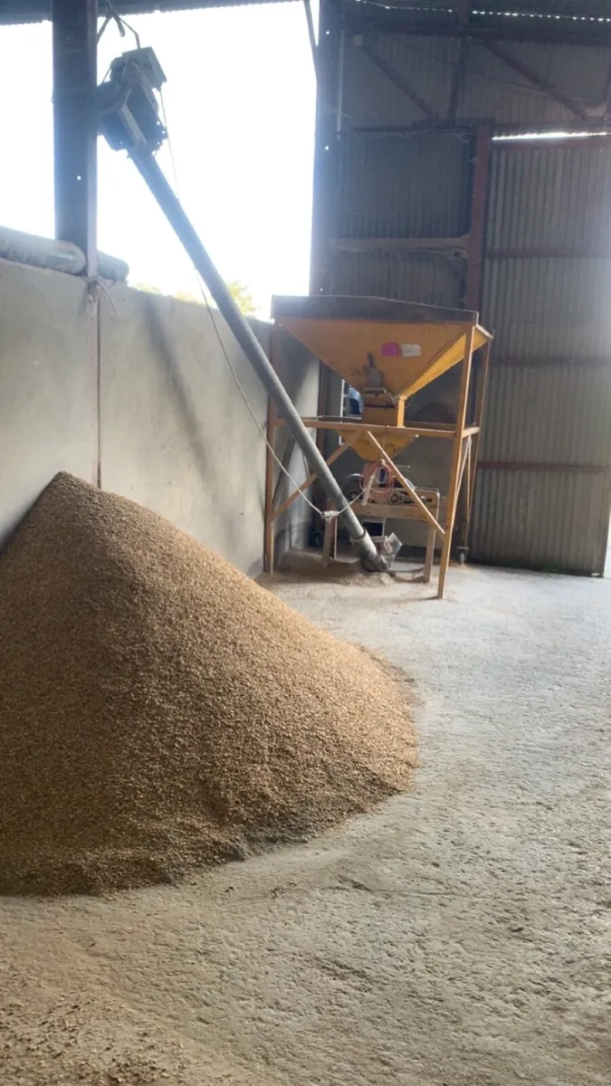 Grain roller,hopper,auger - Image 1