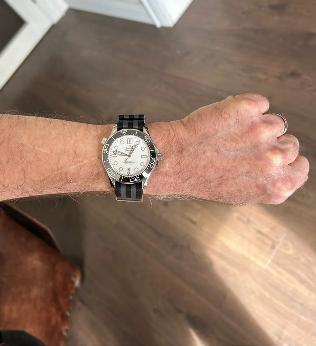 omega seamaster professional - Image 2