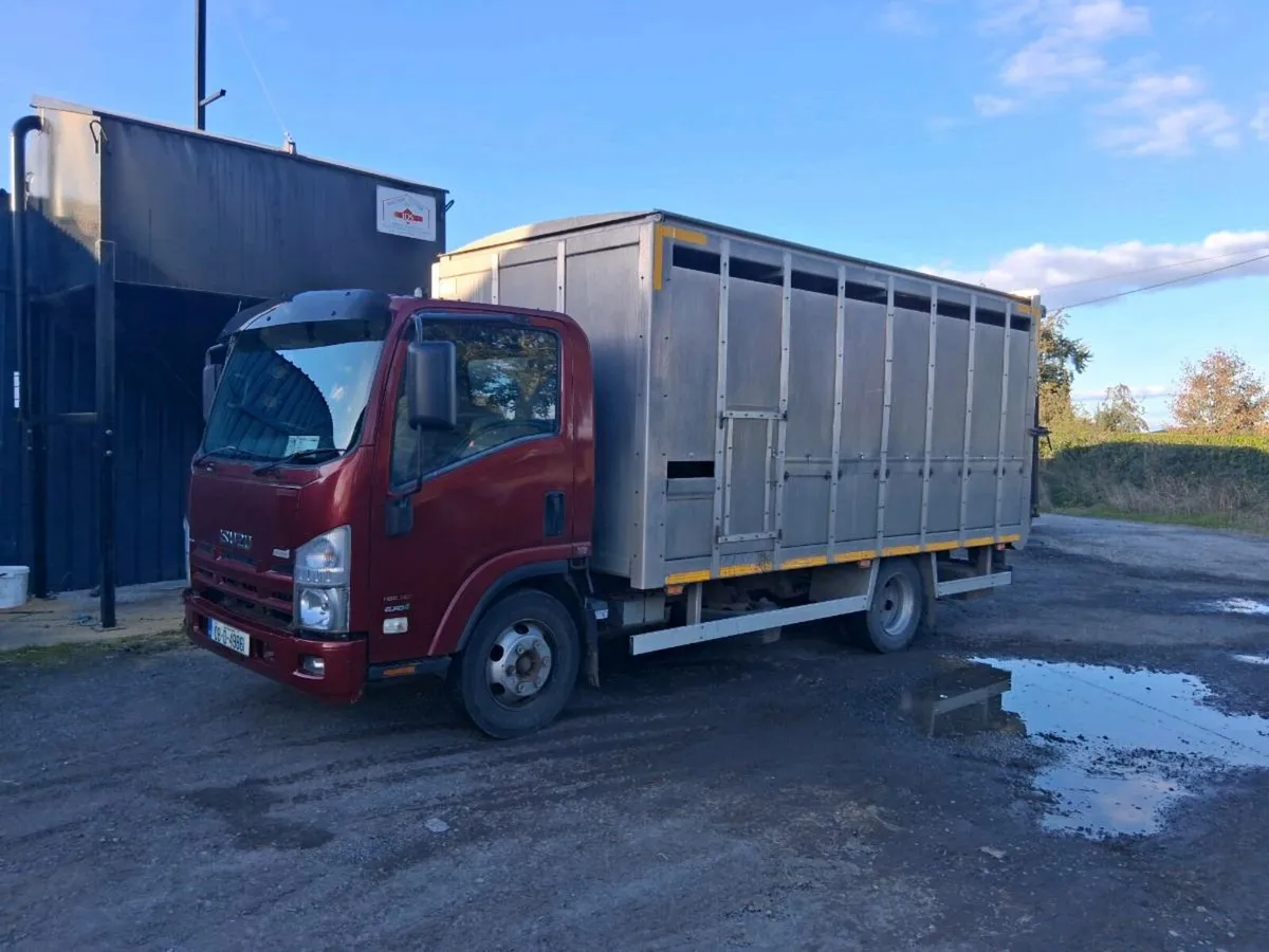 ISUZU Livestock Lorry - Image 3
