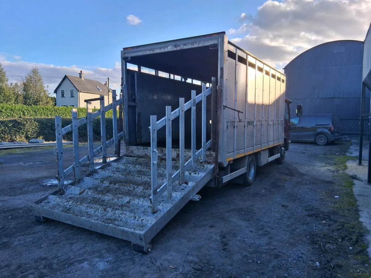 ISUZU Livestock Lorry - Image 4
