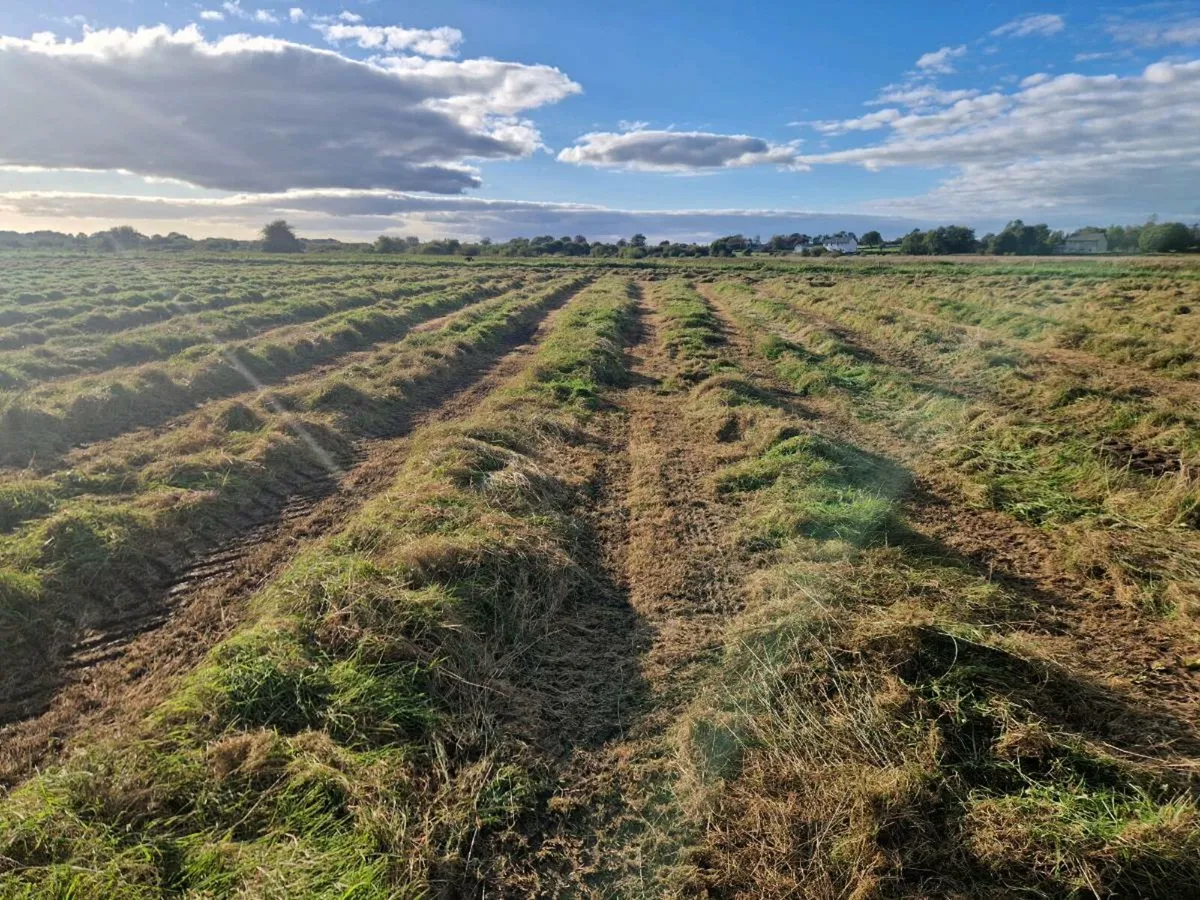 Silage
