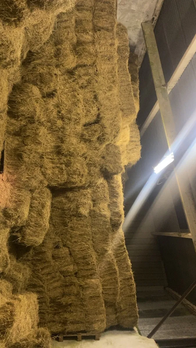 Hay and straw for sale - Image 2
