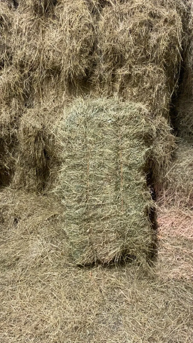 Hay and straw for sale - Image 1