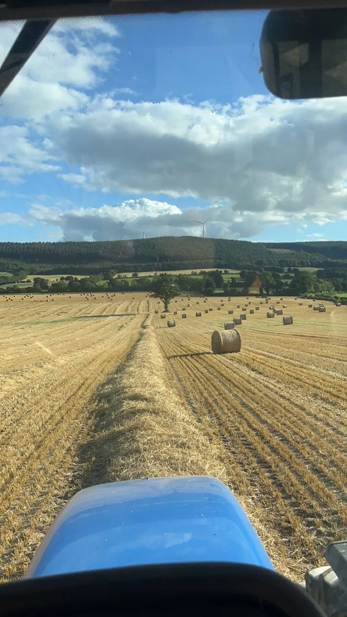 Barley Wheat and Oat Straw round bales - Image 2