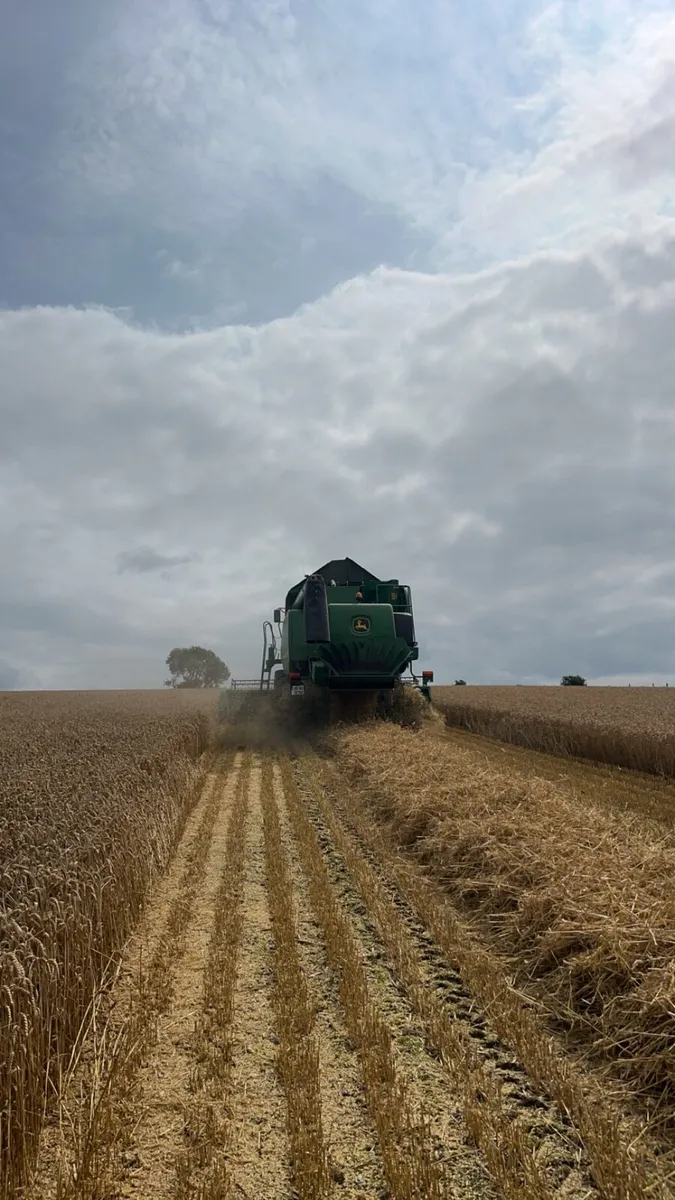 Barley Wheat and Oat Straw round bales - Image 4