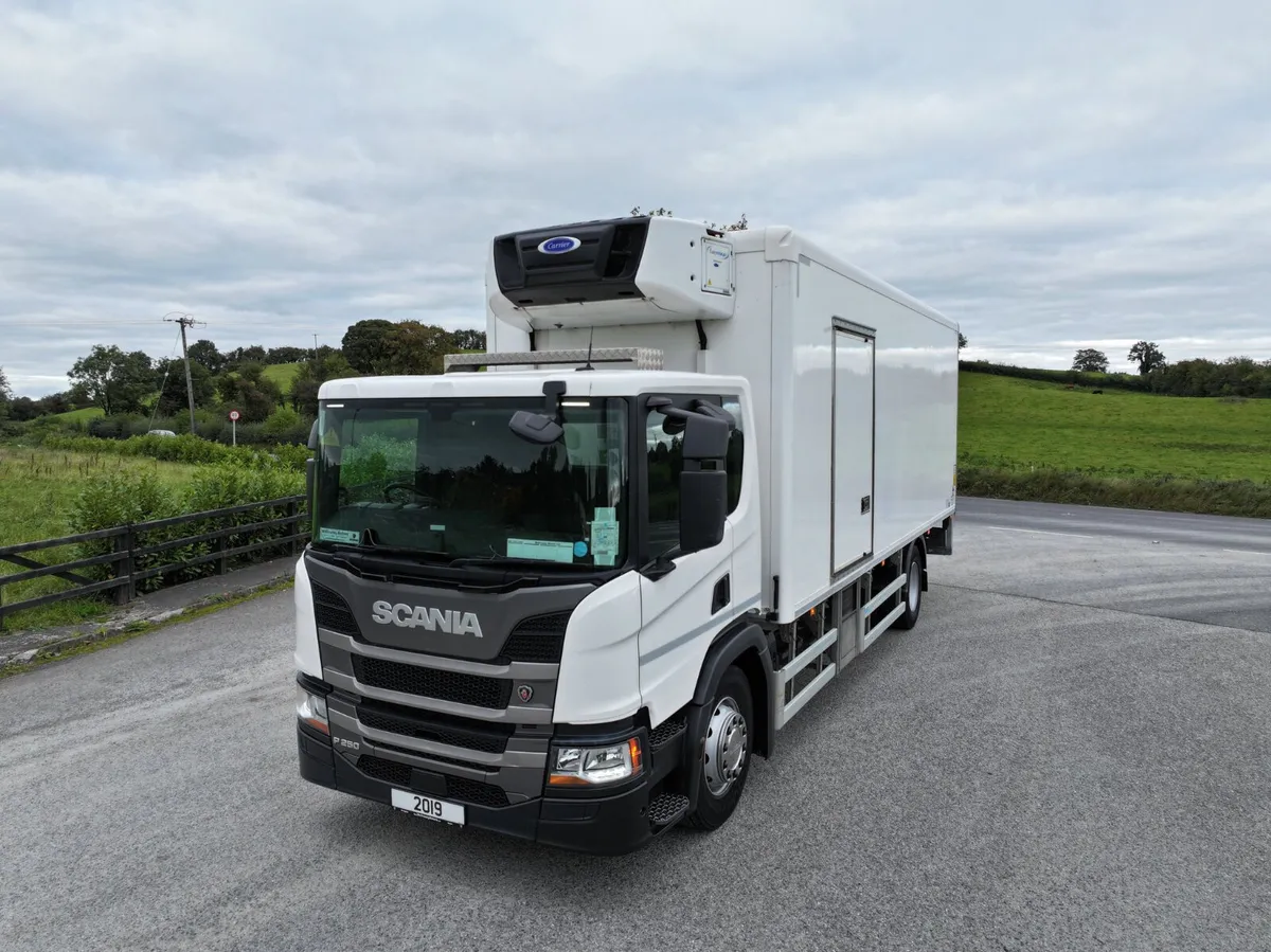 2019 Scania P250 4x2 Fridge. Ref No: 2546 - Image 4