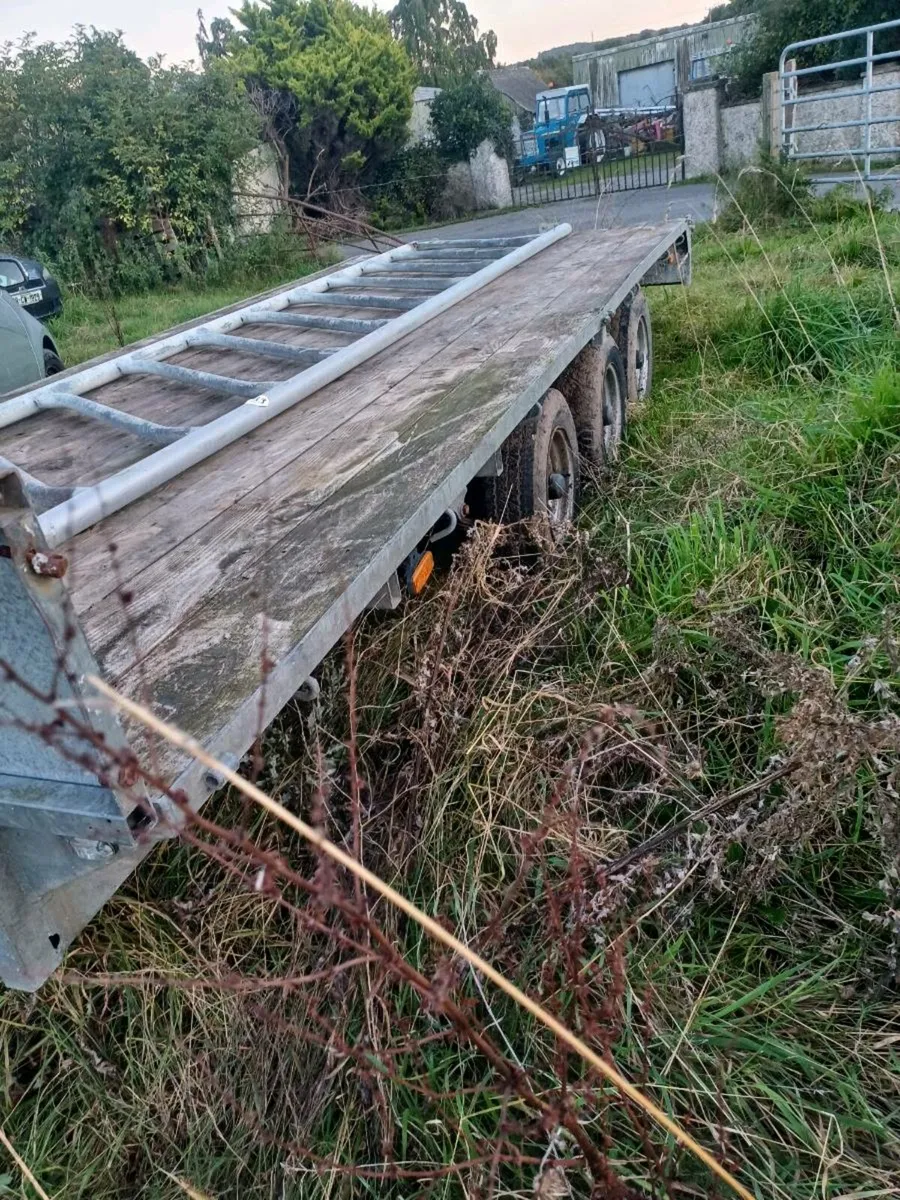 Nugent 3 axle trailer 16ft - Image 2