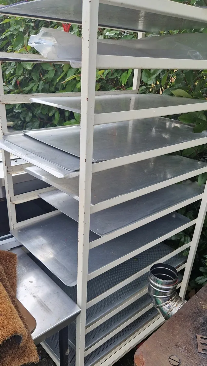 Stainless steel trays+trollies - Image 1