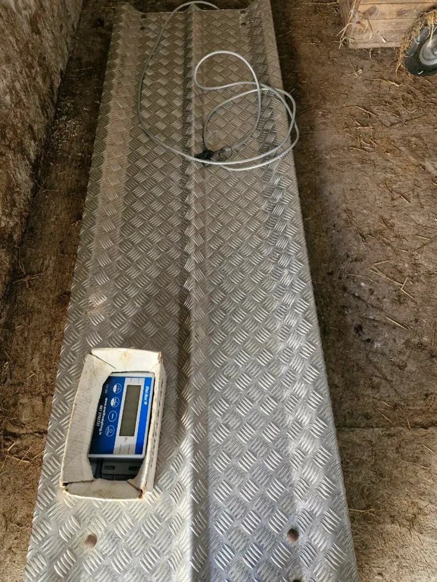 Weighing Scales