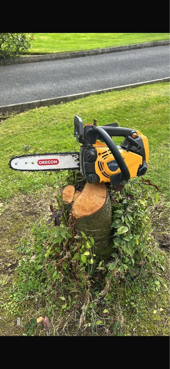 Chainsaw - Image 1