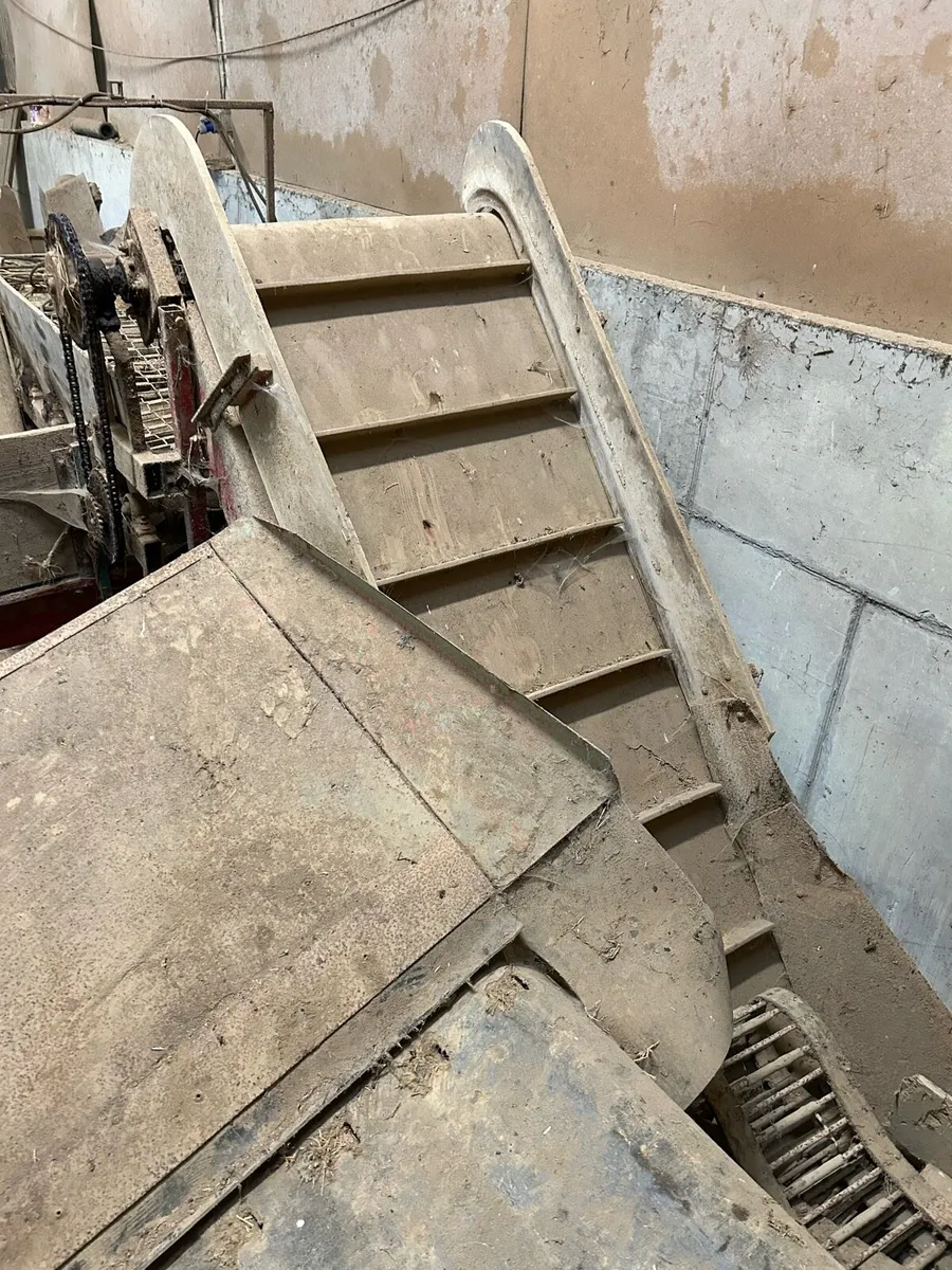 Potato Grader - Image 3