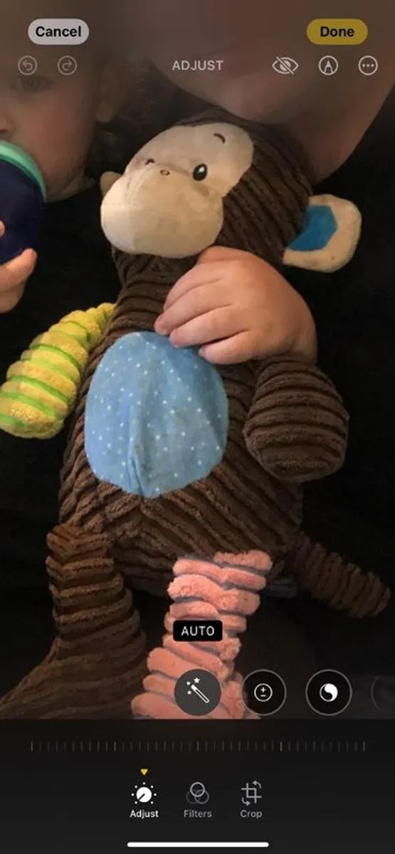 WANTED monkey