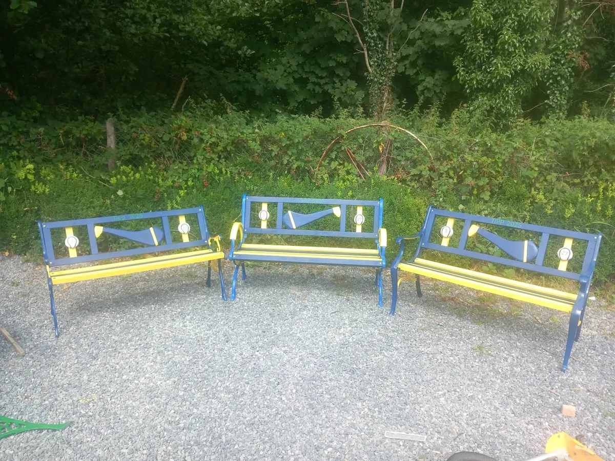 Tipperary hurling 2025 bench - Image 3