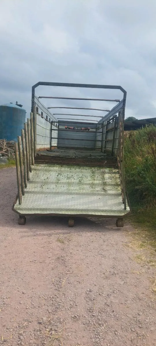 30 ft catte trailer - Image 2