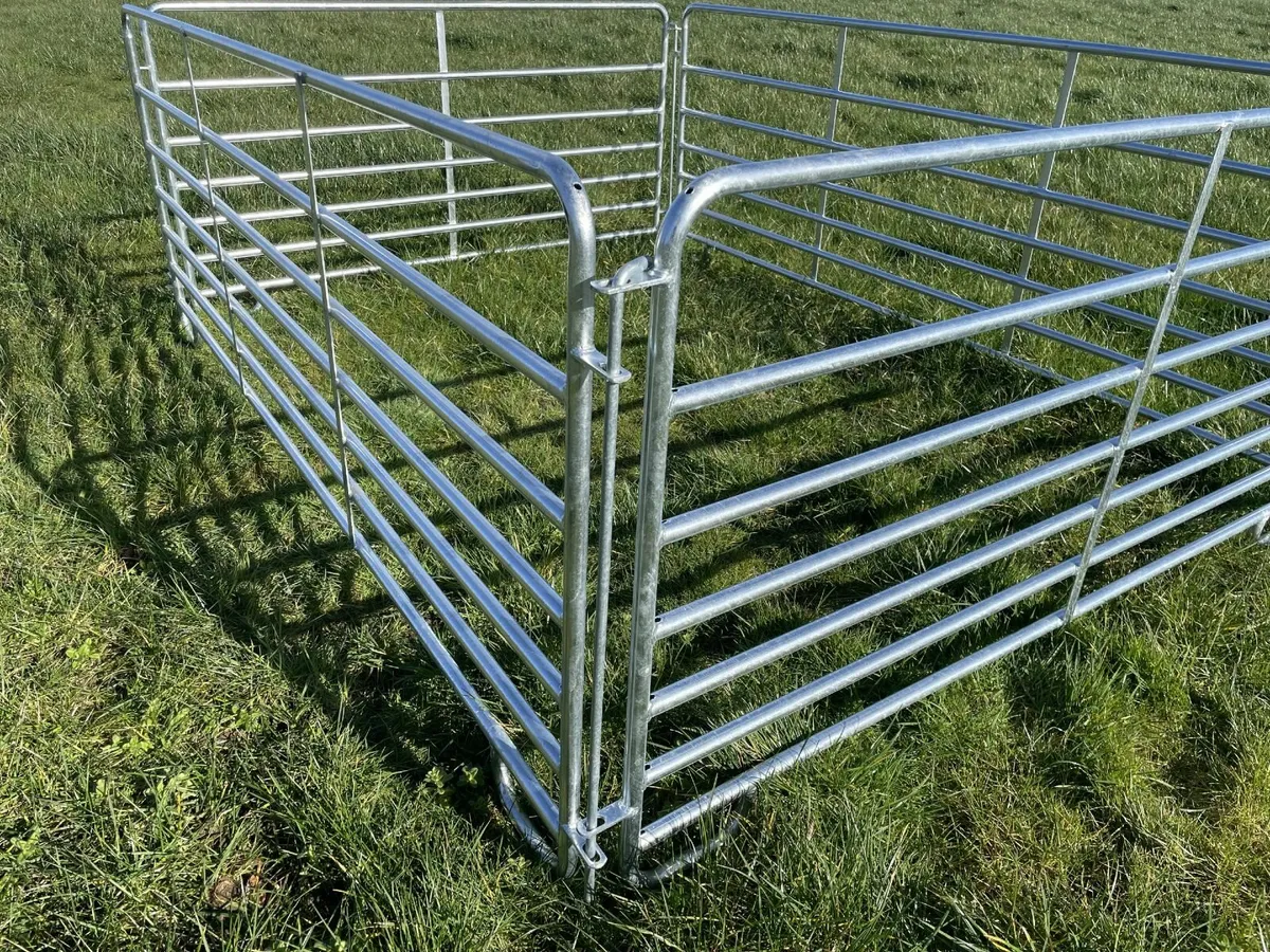 Sleigh Style Hurdle - Image 1