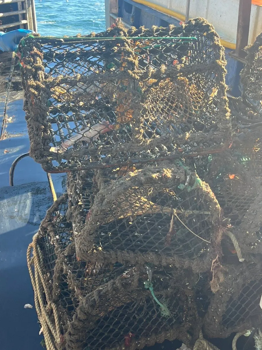 Crab and lobster fishing pots - Image 1