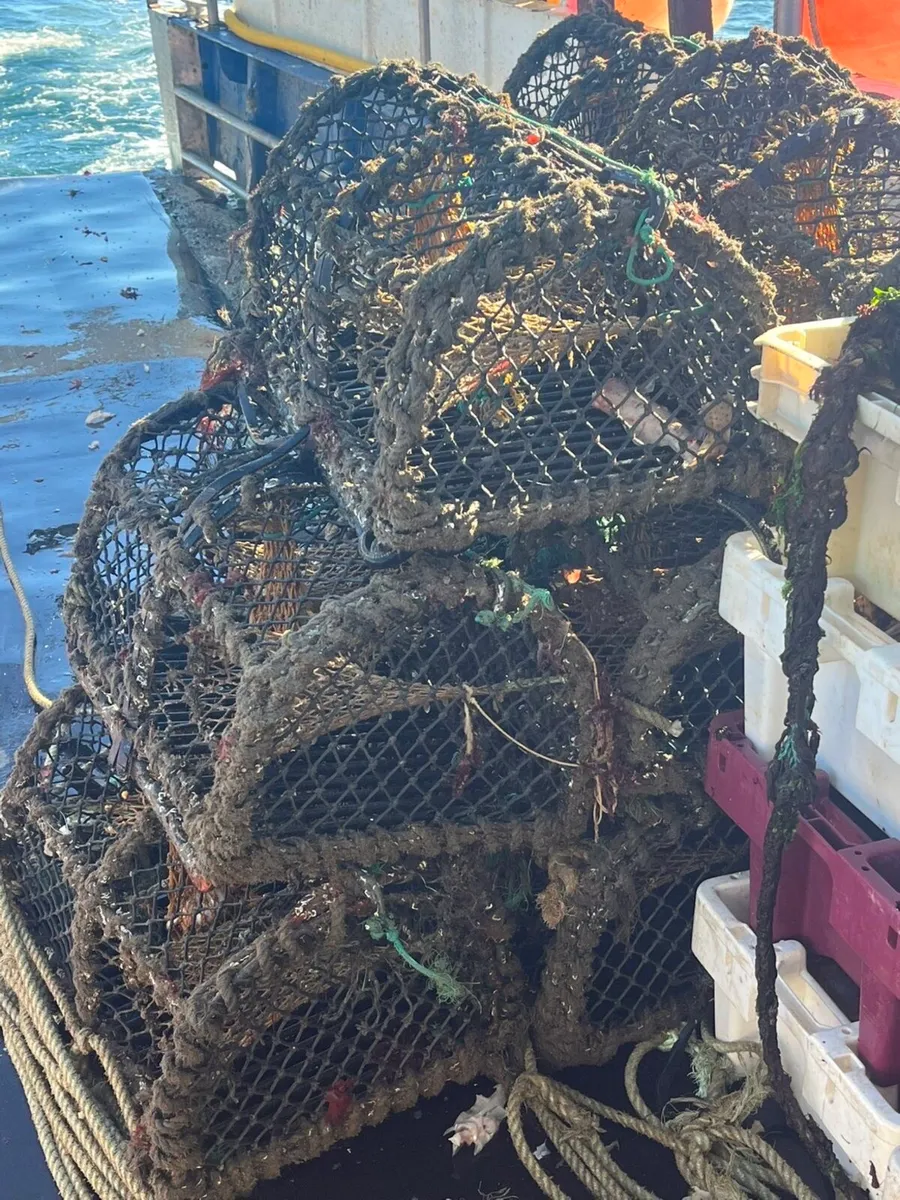 Crab and lobster fishing pots - Image 3
