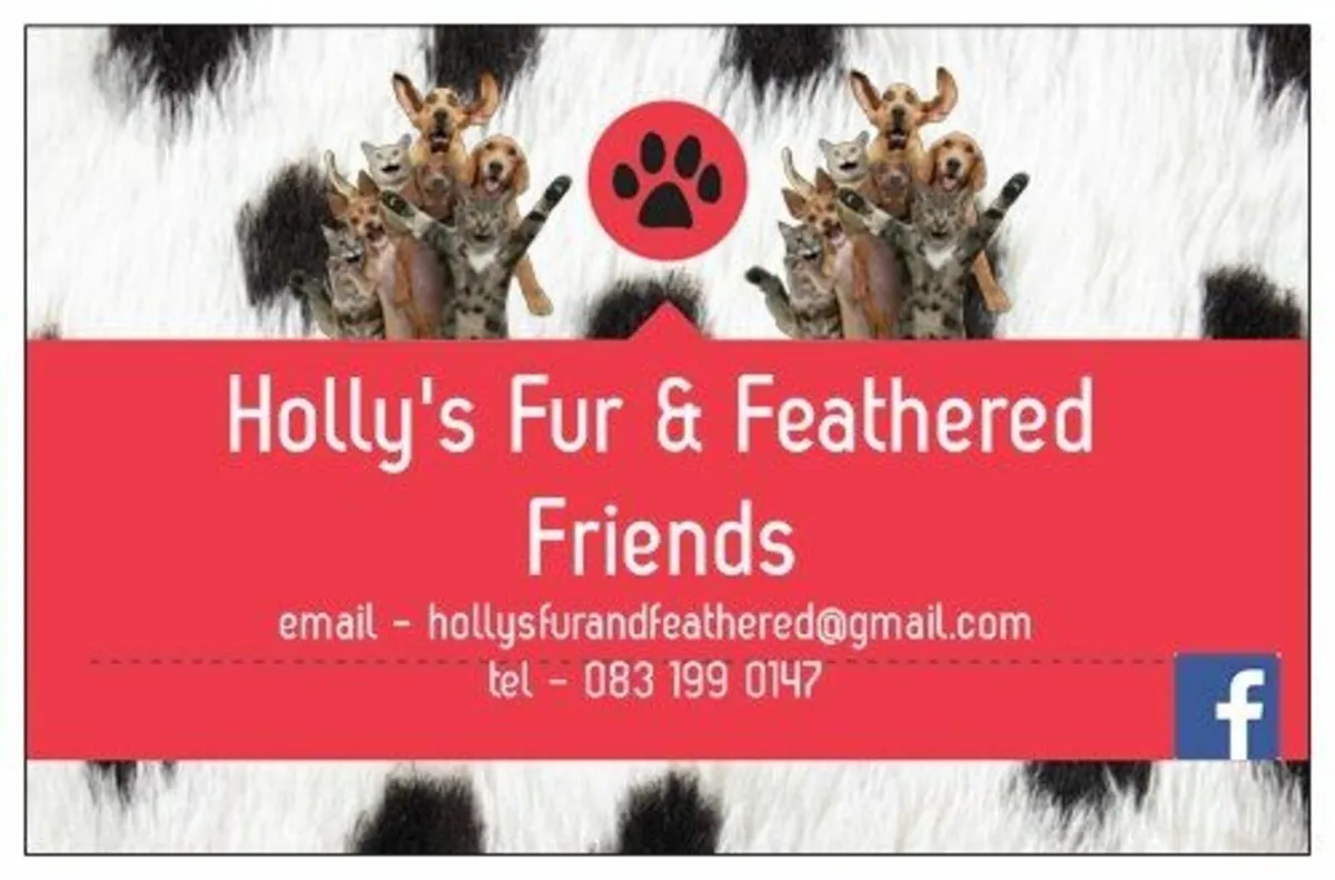 Home Boarding, Dog Walking & Cat Care Services