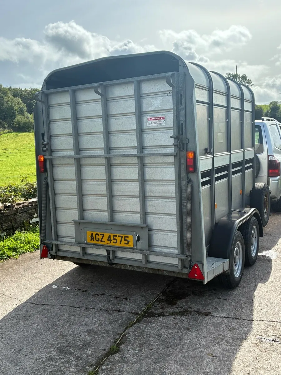 Ifor Williams Cattle / sheep Trailer - Image 4