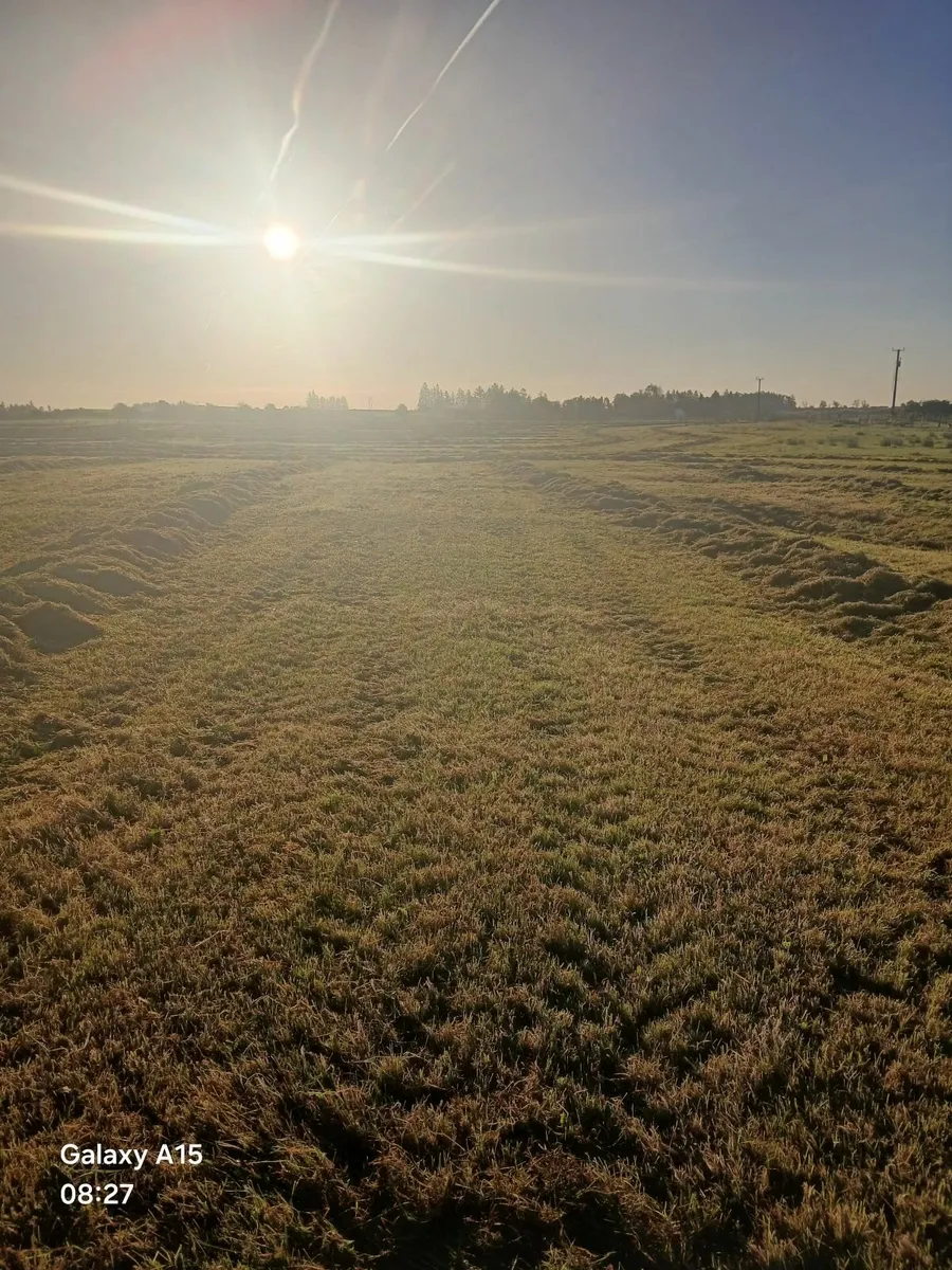 Silage - Image 1