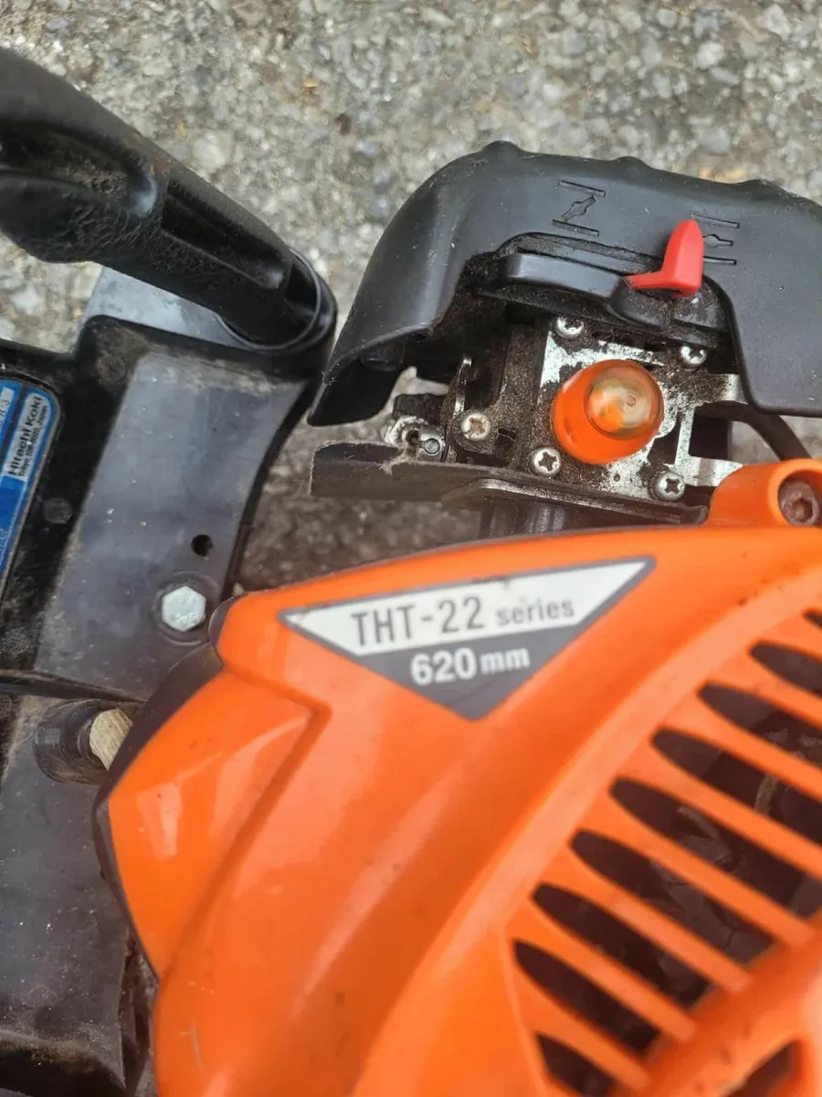 2021 Tanaka hedge strummers running well - Image 2