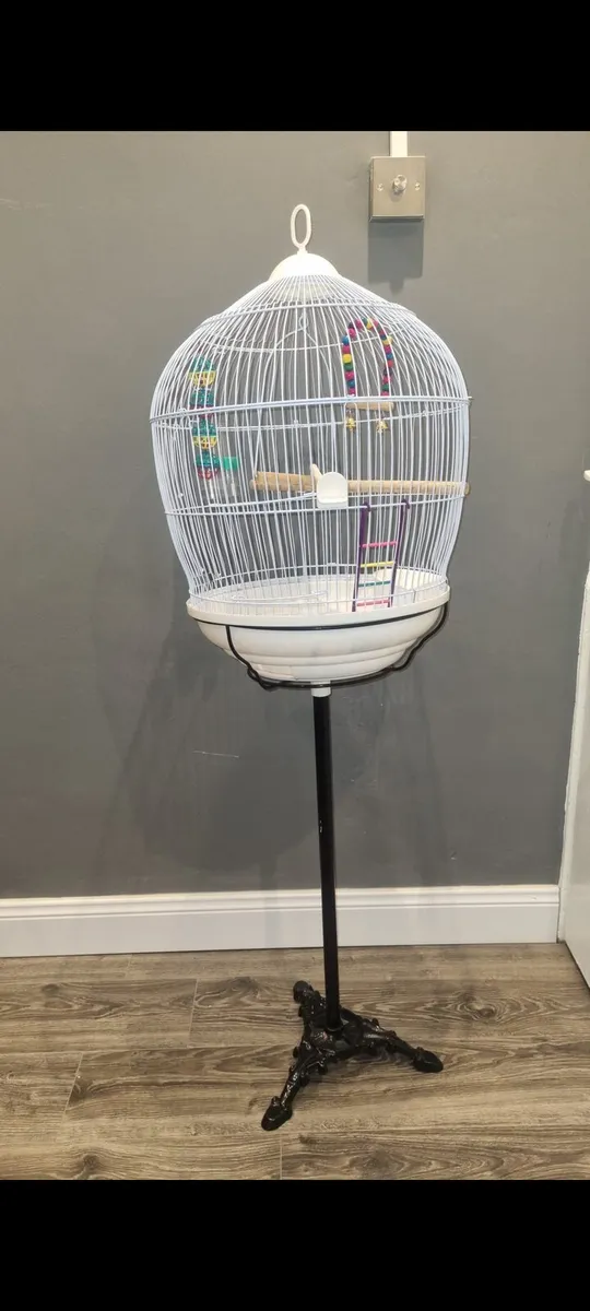 Bird cage - Image 1