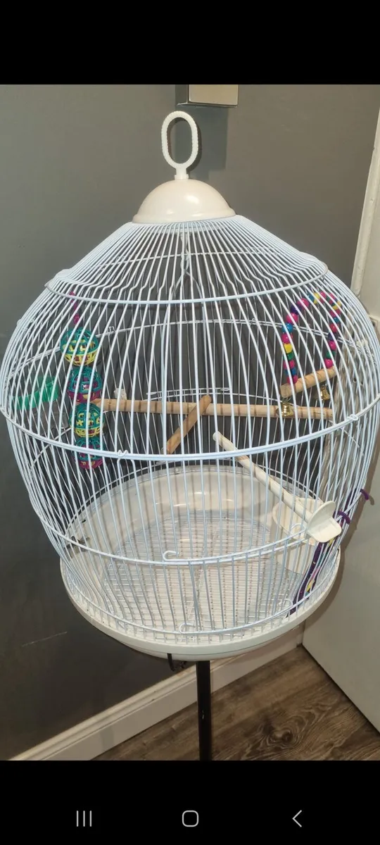 Bird cage - Image 2