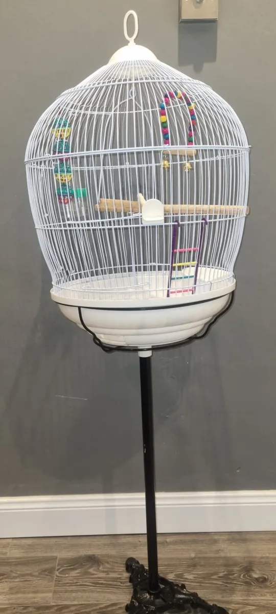 Bird cage - Image 3