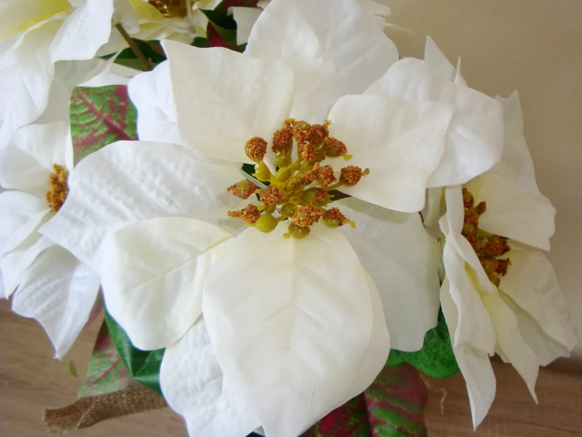 Large poinsettia H44cm - Image 2